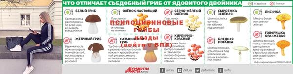 дурь Нефтекумск