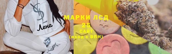 стафф Новокубанск