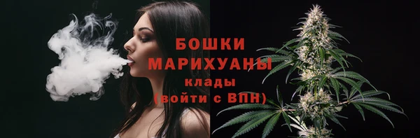 стафф Новокубанск