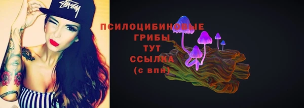 jwh Новозыбков