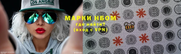 стафф Новокубанск